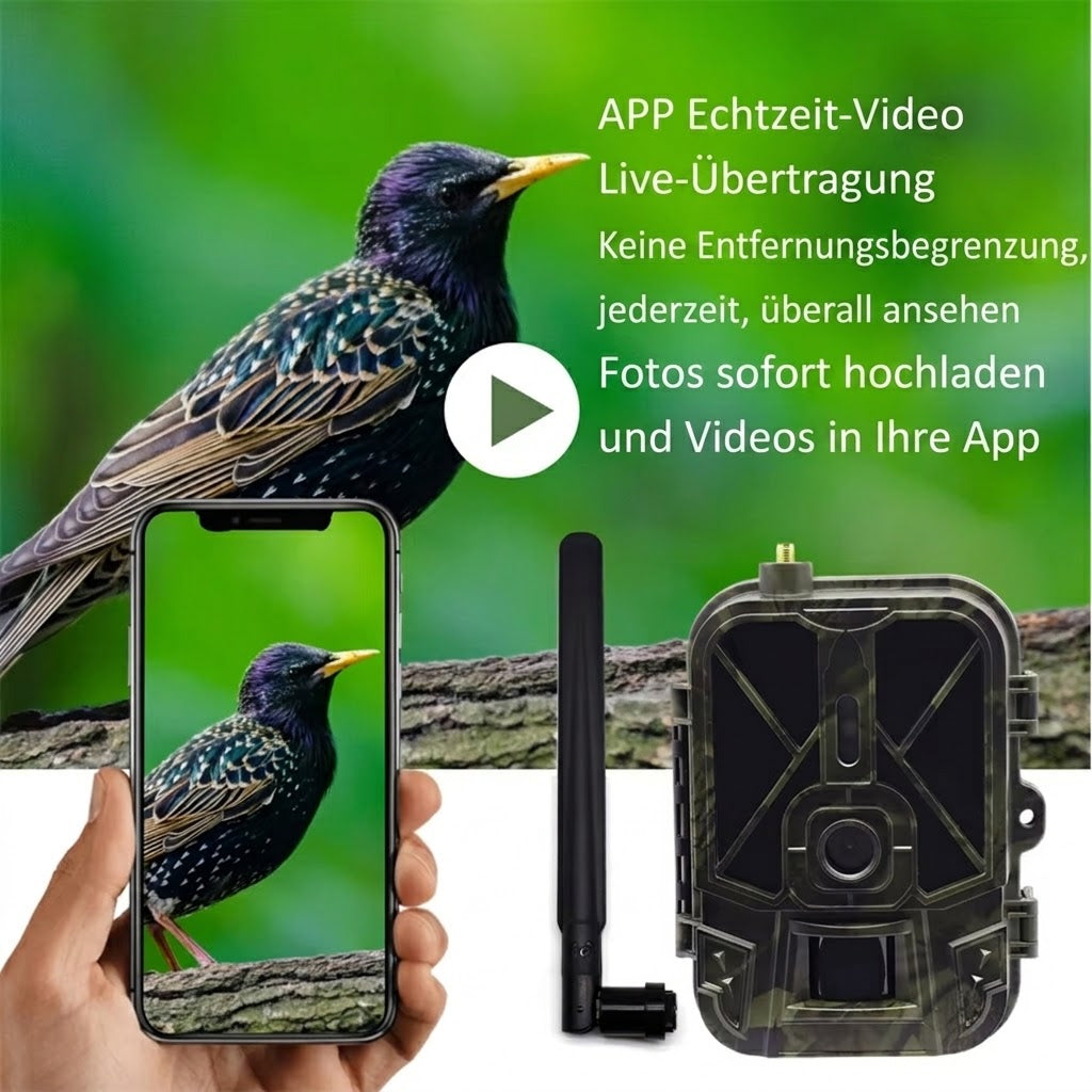 Augepäher 4G LTE Nachtsicht-Wildkamera mit 30MP & 4K