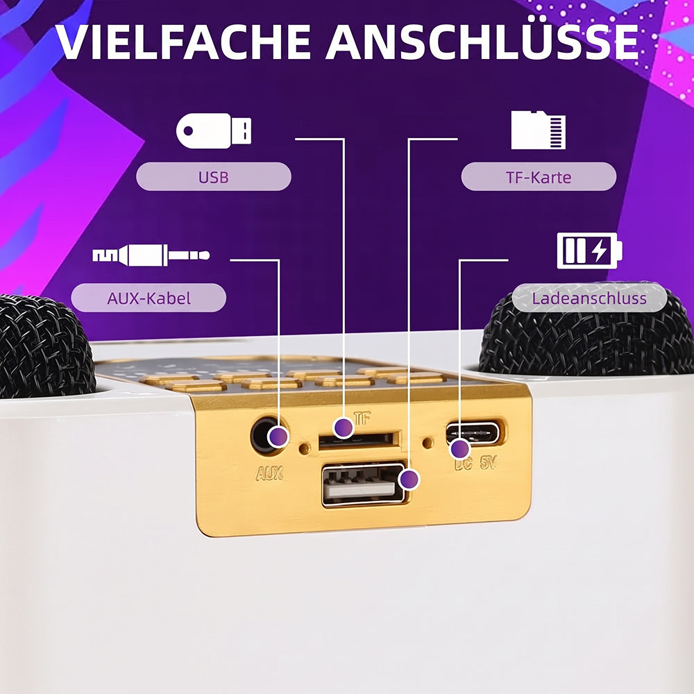 BühMikro Karaoke-Maschine: 360° Stereo, Bluetooth 5.3 & 2 Mikrofone
