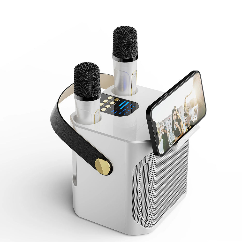 BühMikro Karaoke-Maschine: 360° Stereo, Bluetooth 5.3 & 2 Mikrofone