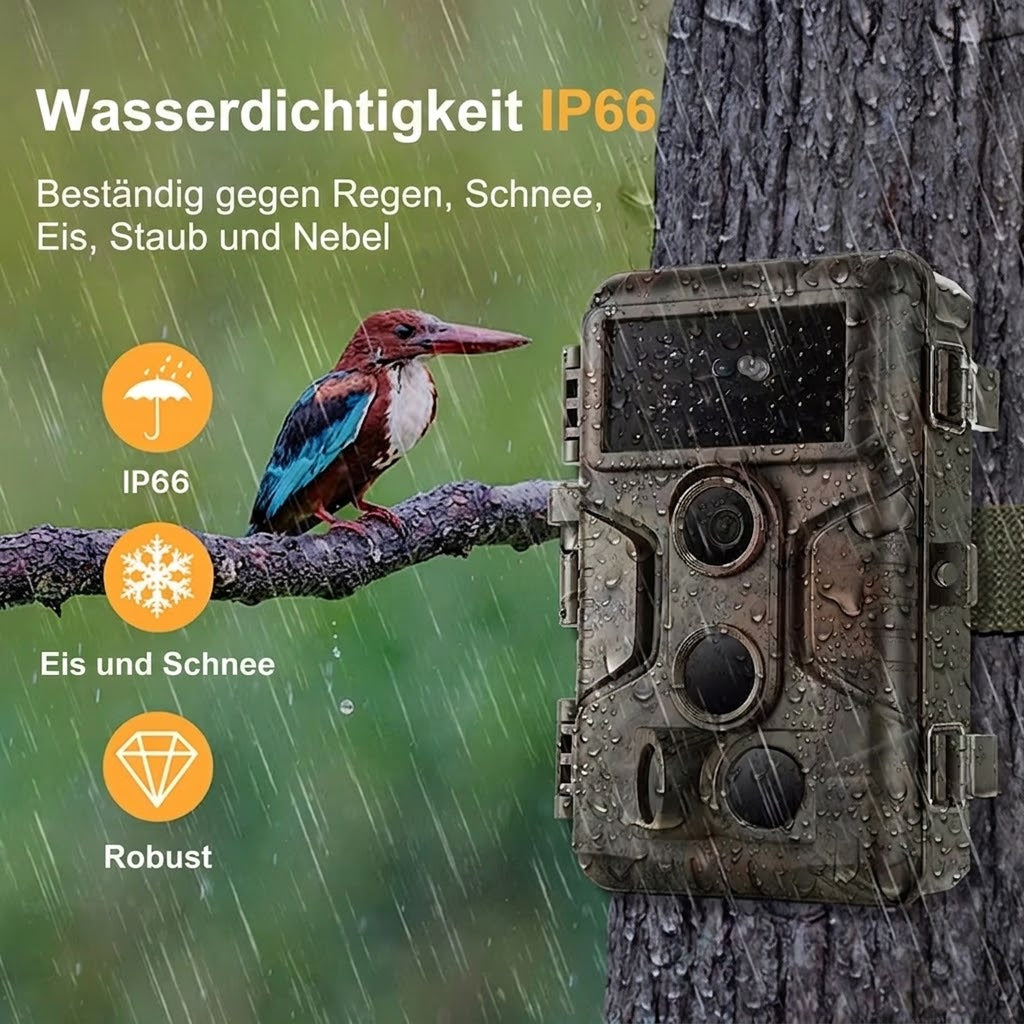 WildSpux